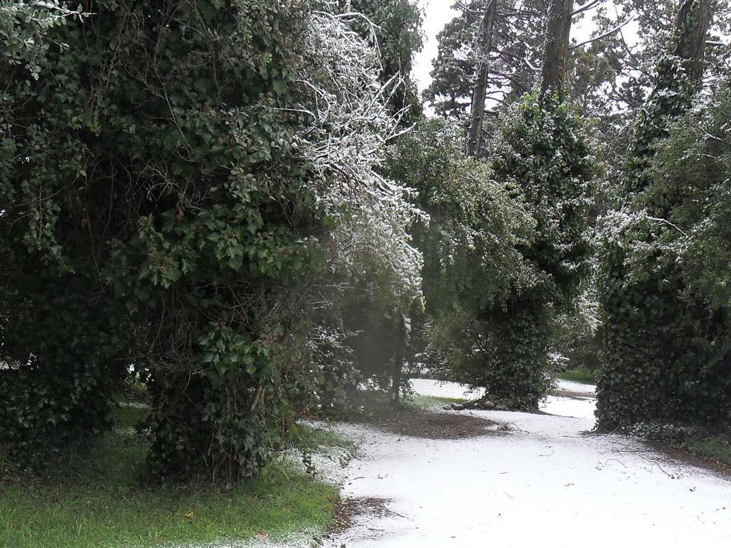 Htl La Malinka Hotel San Carlos de Bariloche Luaran gambar